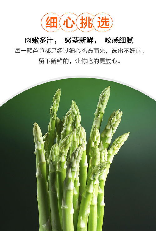 春嘗蘆筍正當時 山東應季農(nóng)家特產(chǎn)的新鮮密碼